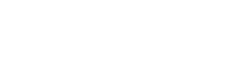 Mega Concept Logo